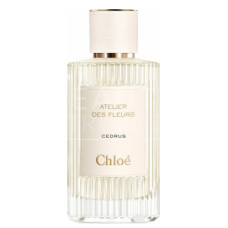 Chloé Cedrus