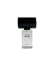 Genyum Painter 15 ml